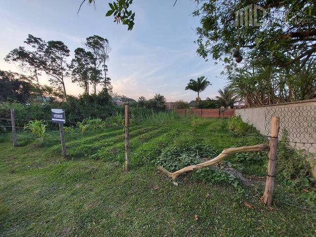 Terreno para Venda em Balneário Barra do Sul - 5