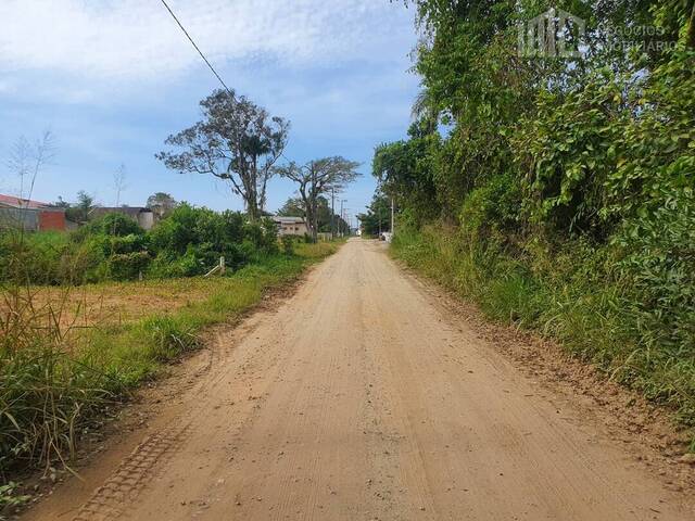Terreno para Venda em Balneário Barra do Sul - 4