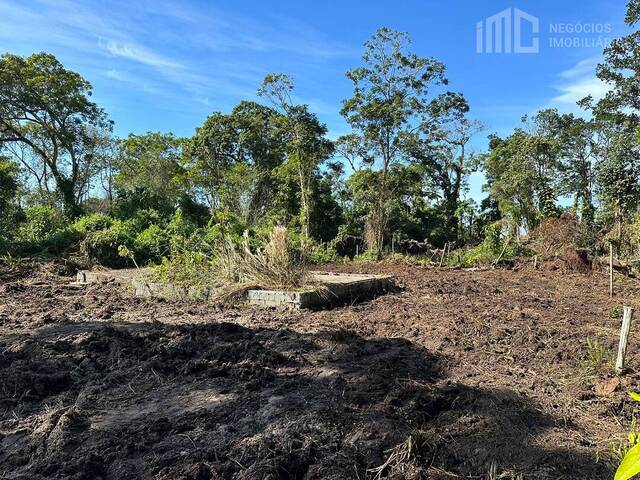 Terreno para Venda em Balneário Barra do Sul - 4