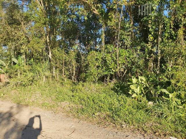 #0274 - Terreno para Venda em Balneário Barra do Sul - SC