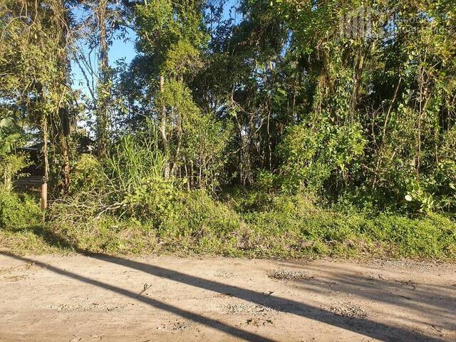 #0274 - Terreno para Venda em Balneário Barra do Sul - SC