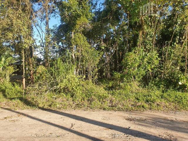 #0274 - Terreno para Venda em Balneário Barra do Sul - SC
