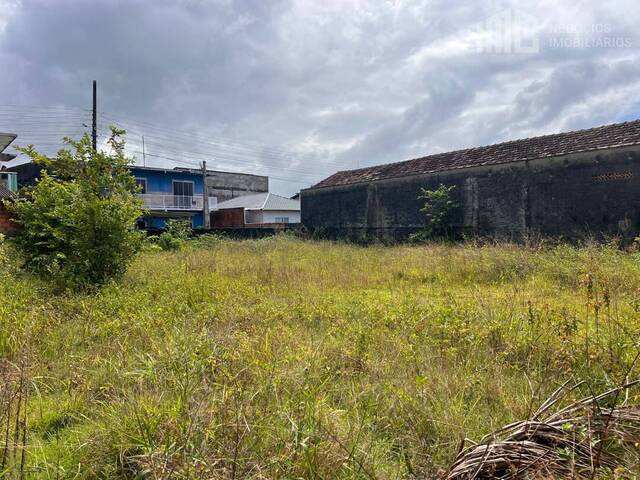 #0484 - Terreno para Venda em Balneário Barra do Sul - SC
