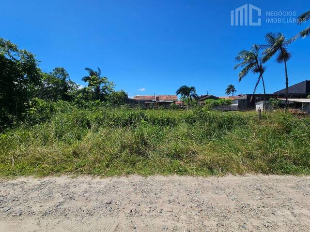 #0810 - Terreno para Venda em Balneário Barra do Sul - SC - 1