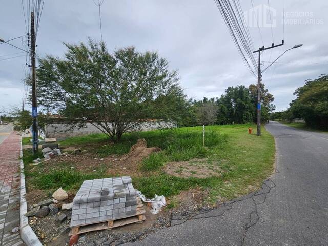 #0889 - Terreno para Venda em Balneário Barra do Sul - SC - 3