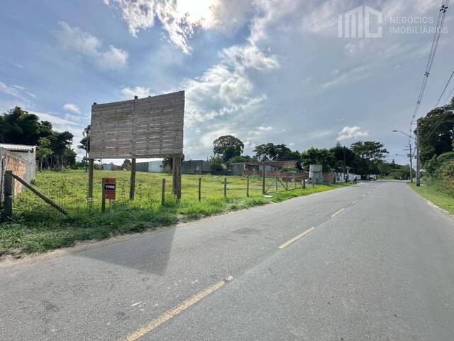 Área para Venda em Balneário Barra do Sul - 5