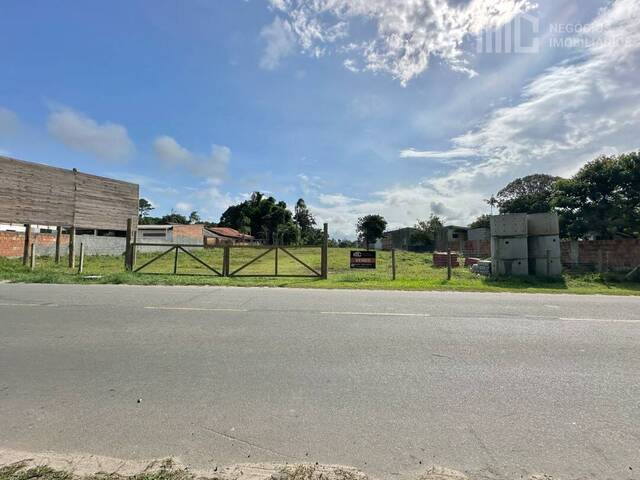Área para Venda em Balneário Barra do Sul - 4