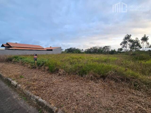 Terreno para Venda em Araquari - 2