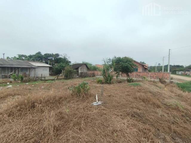 #0956 - Terreno para Venda em Balneário Barra do Sul - SC - 2
