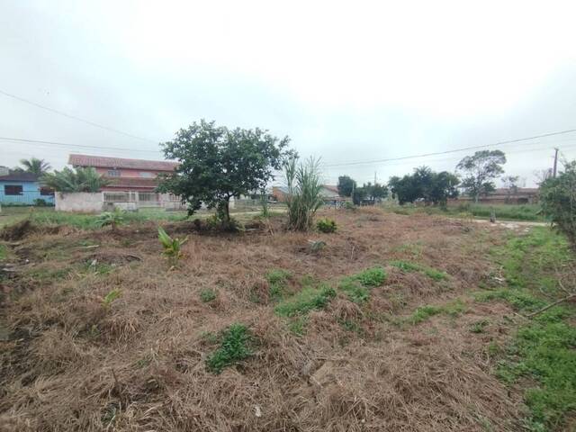 #0956 - Terreno para Venda em Balneário Barra do Sul - SC - 3