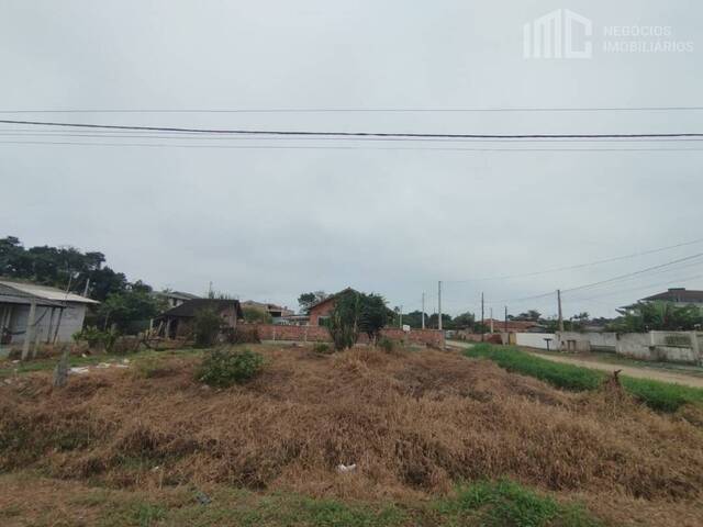 Terreno para Venda em Balneário Barra do Sul - 4