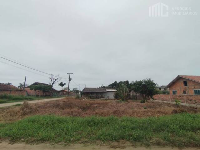 #0956 - Terreno para Venda em Balneário Barra do Sul - SC - 1