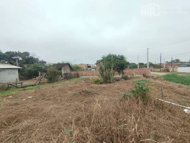 Terreno para Venda em Balneário Barra do Sul - 5