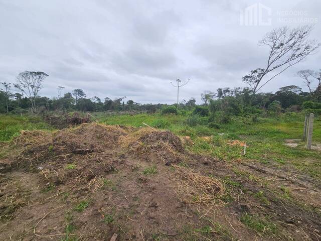 #0881 - Terreno para Venda em Balneário Barra do Sul - SC - 3