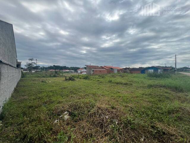 Área para Venda em Balneário Barra do Sul - 4