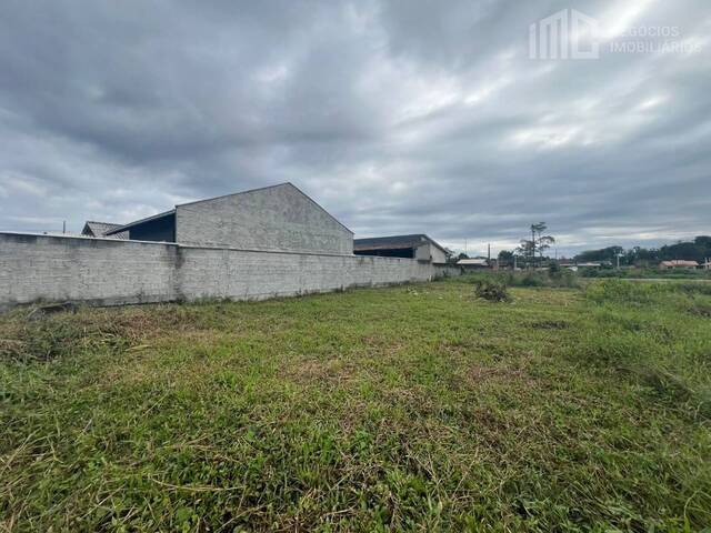 Área para Venda em Balneário Barra do Sul - 3