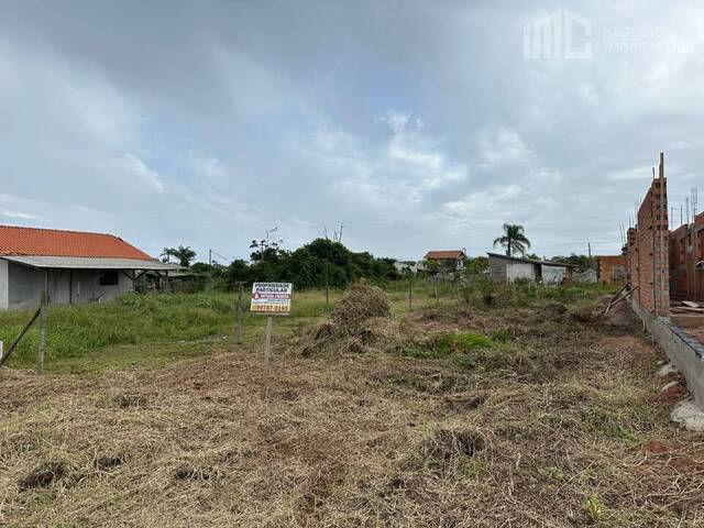 Área para Venda em Balneário Barra do Sul - 3