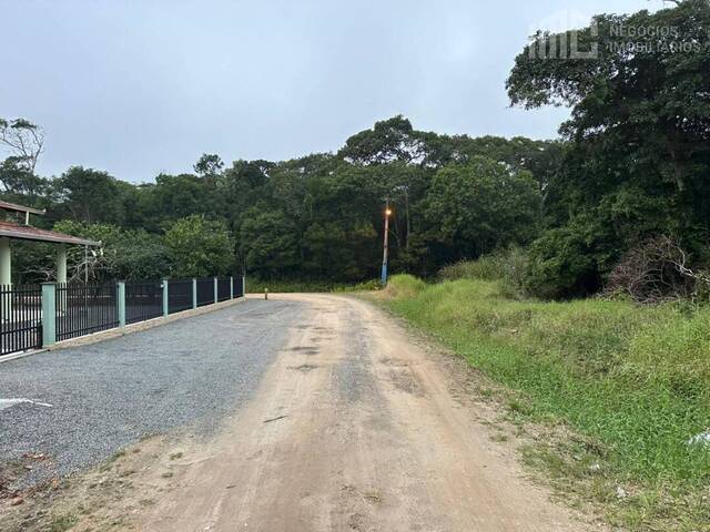 Terreno para Venda em Balneário Barra do Sul - 4