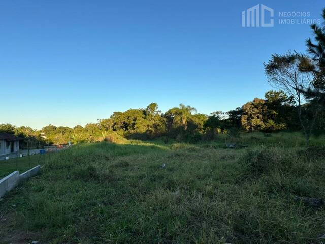 Terreno para Venda em Balneário Barra do Sul - 3