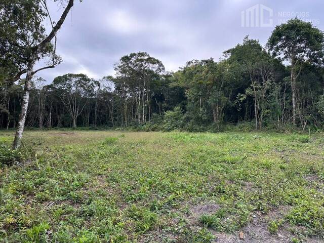 Área para Venda em Balneário Barra do Sul - 2
