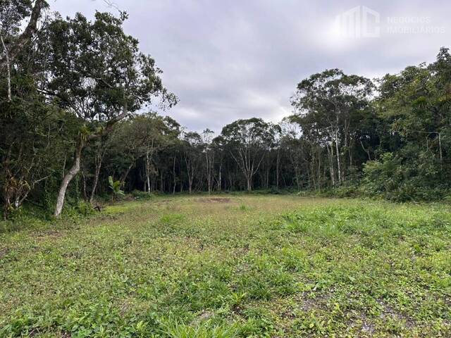 Área para Venda em Balneário Barra do Sul - 3