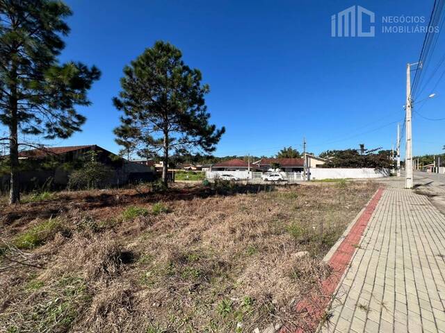 Venda em Pinheiros - Balneário Barra do Sul