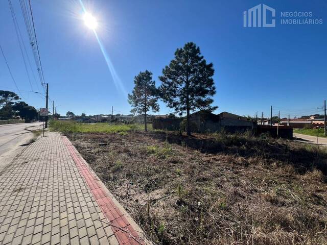 Terreno para Venda em Balneário Barra do Sul - 2