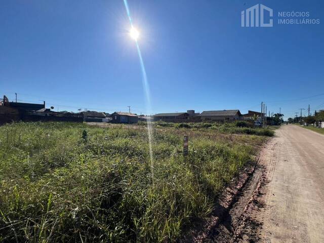 Terreno para Venda em Balneário Barra do Sul - 4
