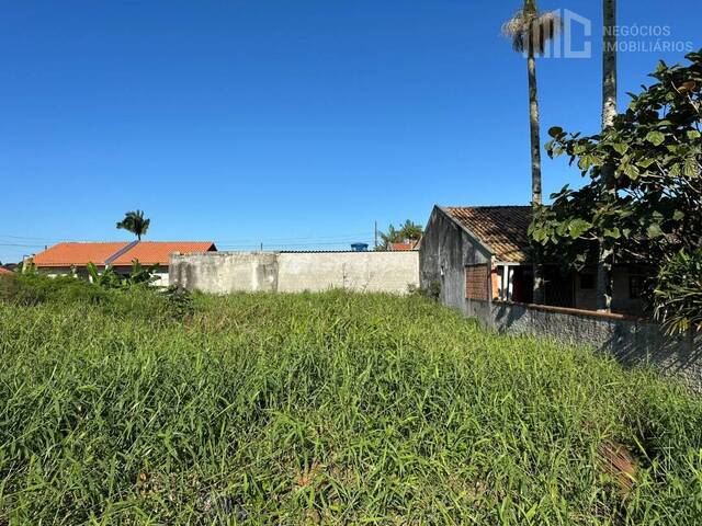 Terreno para Venda em Balneário Barra do Sul - 4