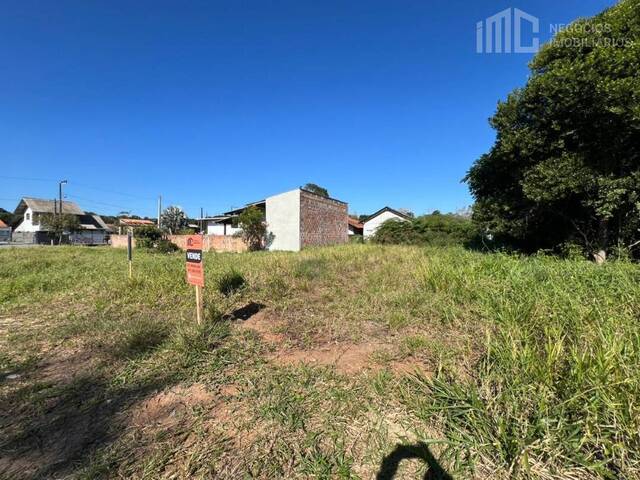#1037 - Terreno para Venda em Balneário Barra do Sul - SC - 2