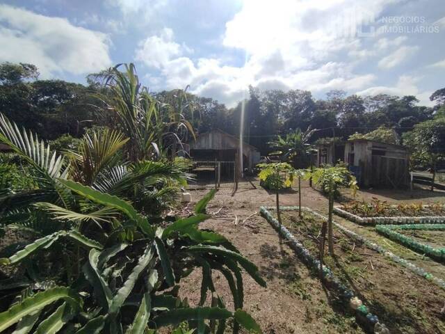 Terreno para Venda em Balneário Barra do Sul - 4