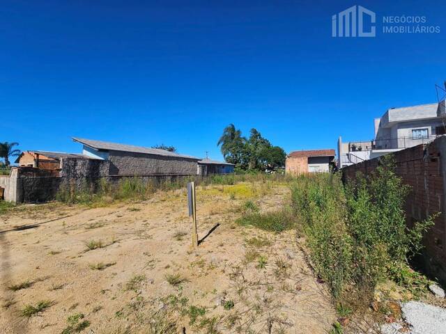 #1069 - Terreno para Venda em Balneário Barra do Sul - SC - 3