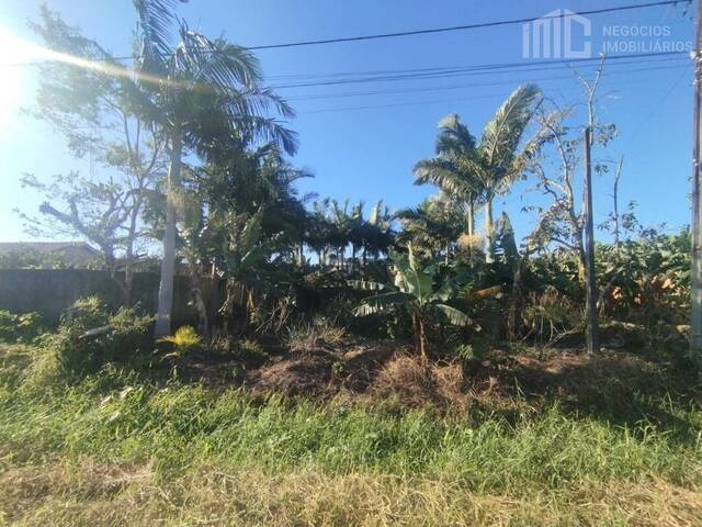 Terreno para Venda em Balneário Barra do Sul - 2