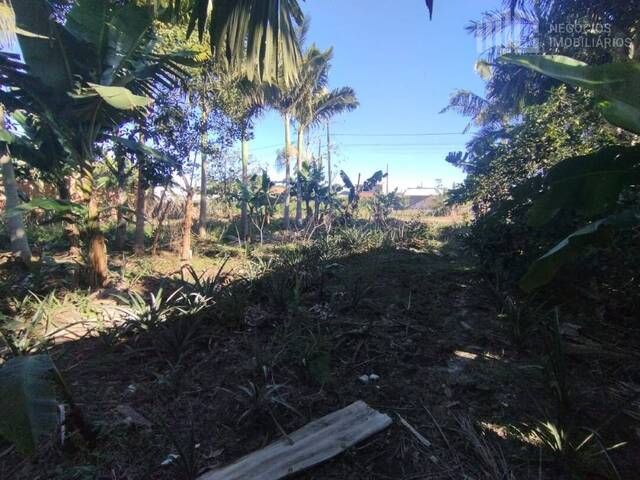 Terreno para Venda em Balneário Barra do Sul - 5