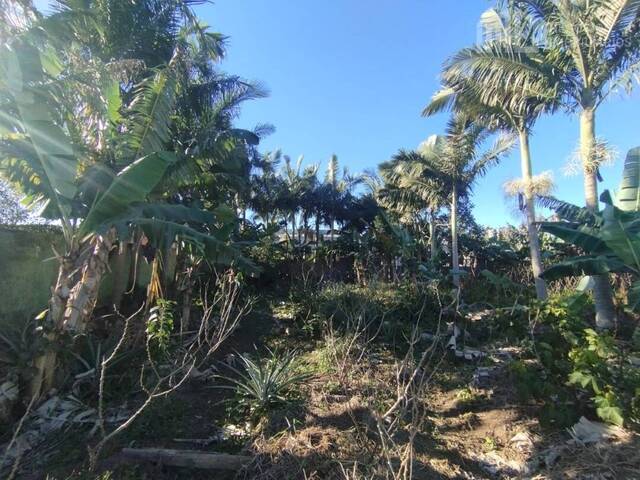 Terreno para Venda em Balneário Barra do Sul - 3