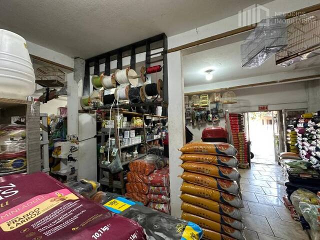 Casa para Venda em Balneário Barra do Sul - 5