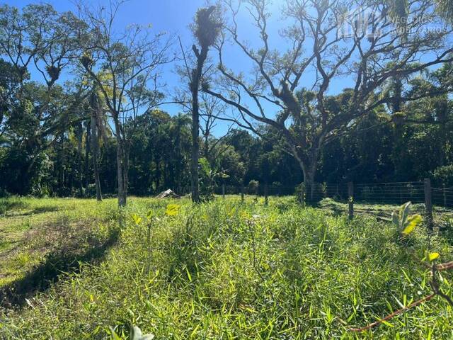 #1085 - Terreno para Venda em Balneário Barra do Sul - SC - 2