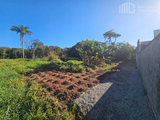 #0939 - Terreno para Venda em Balneário Barra do Sul - SC - 1