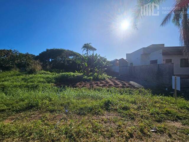 #0939 - Terreno para Venda em Balneário Barra do Sul - SC - 3