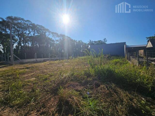 Terreno para Venda em Balneário Barra do Sul - 3