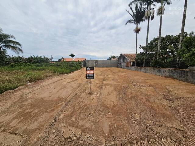 #1086 - Terreno para Venda em Balneário Barra do Sul - SC - 2