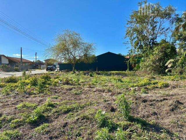Terreno para Venda em Balneário Barra do Sul - 3