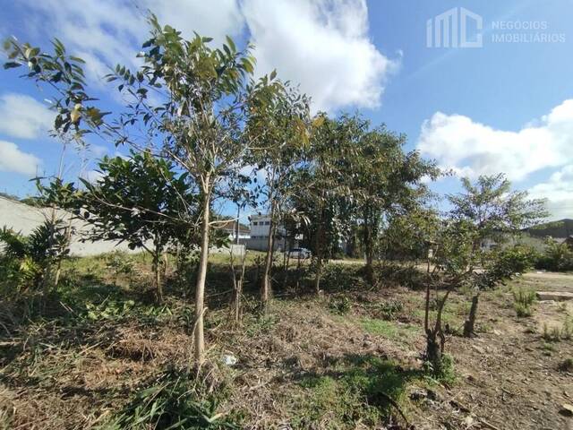 Terreno para Venda em Balneário Barra do Sul - 4