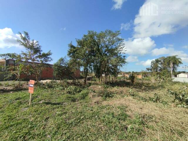 Terreno para Venda em Balneário Barra do Sul - 2