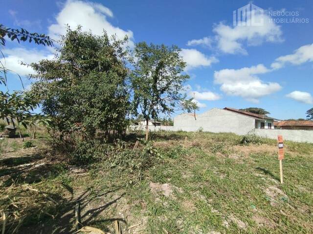 Terreno para Venda em Balneário Barra do Sul - 3