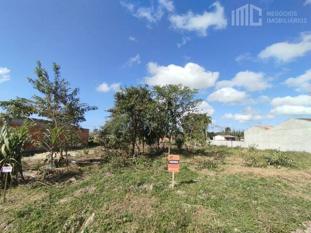 Terreno para Venda em Balneário Barra do Sul - 5