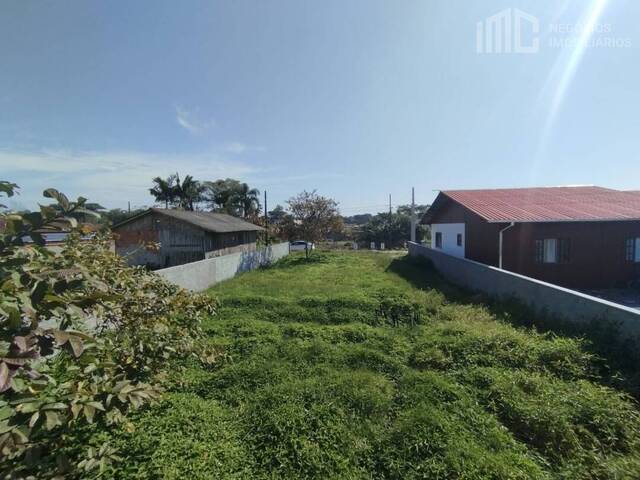 Terreno para Venda em Balneário Barra do Sul - 5