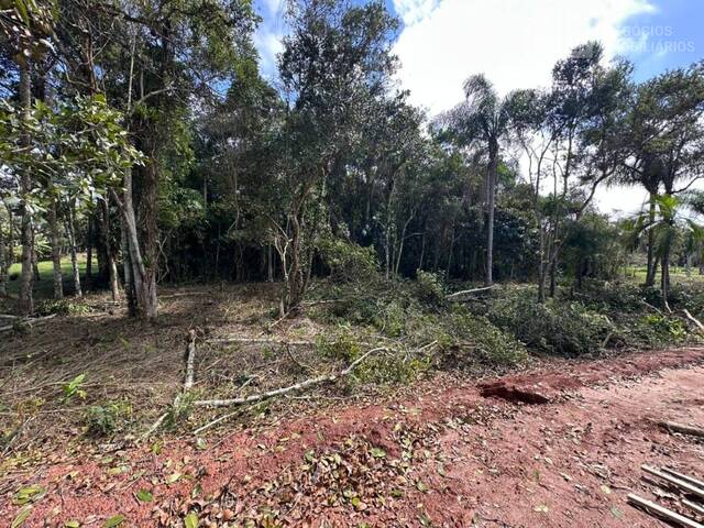 #2028 - Área para Venda em Balneário Barra do Sul - SC - 3