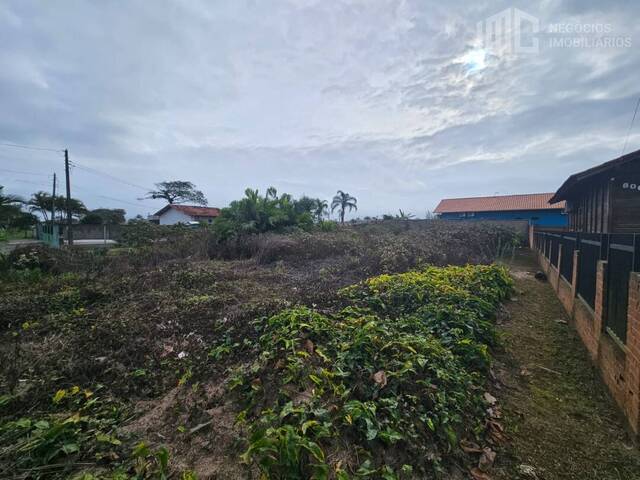 #2030 - Terreno para Venda em Balneário Barra do Sul - SC - 3