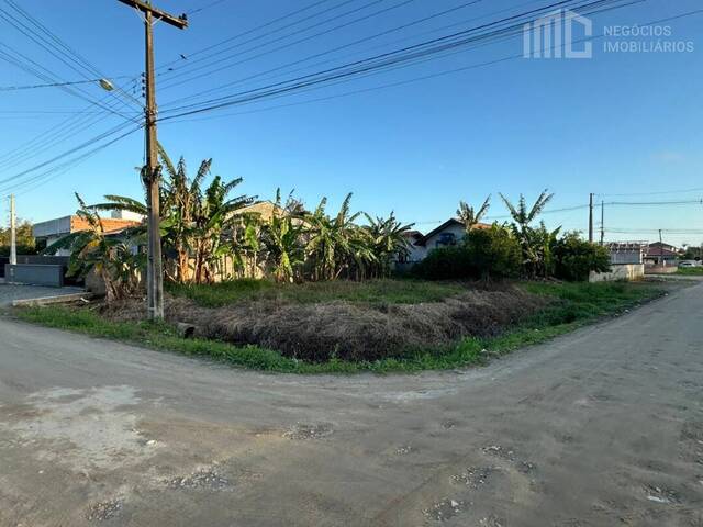 #2050 - Terreno para Venda em Balneário Barra do Sul - SC - 2